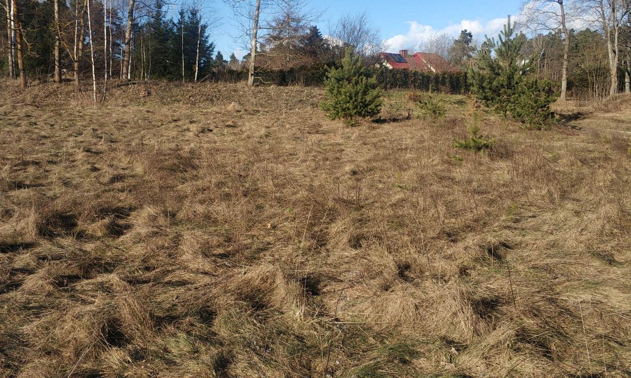 Działka rolno-budowlana Młynowo. Zdjęcie 2