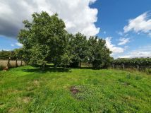 Działka rolno-budowlana Roźwienica. Zdjęcie 4