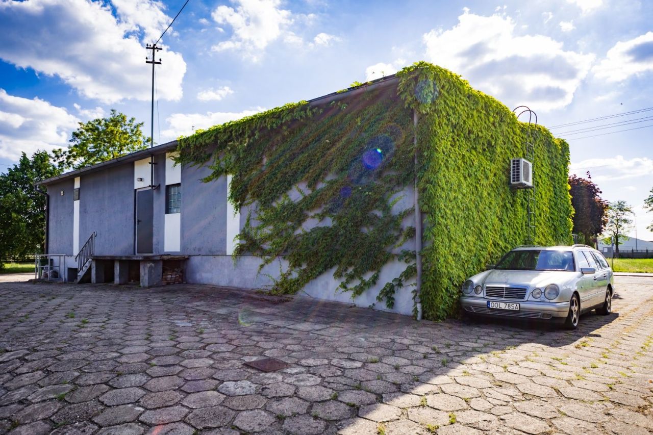 Lokal Dobrodzień. Zdjęcie 2