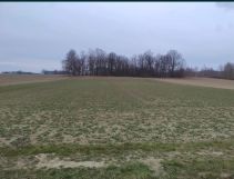 Działka rolna Zawonia, ul. Oleśnicka. Zdjęcie 2