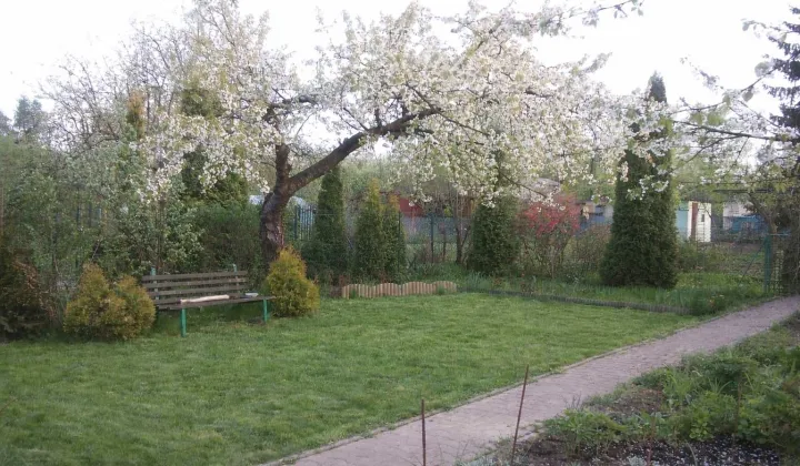 Działka rod Kraków Podgórze, ul. Nowohucka