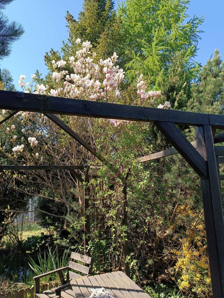 Działka rod Gdynia Chwarzno-Wiczlino. Zdjęcie 7