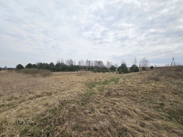 Działka rolna Nowy Dwór. Zdjęcie 6