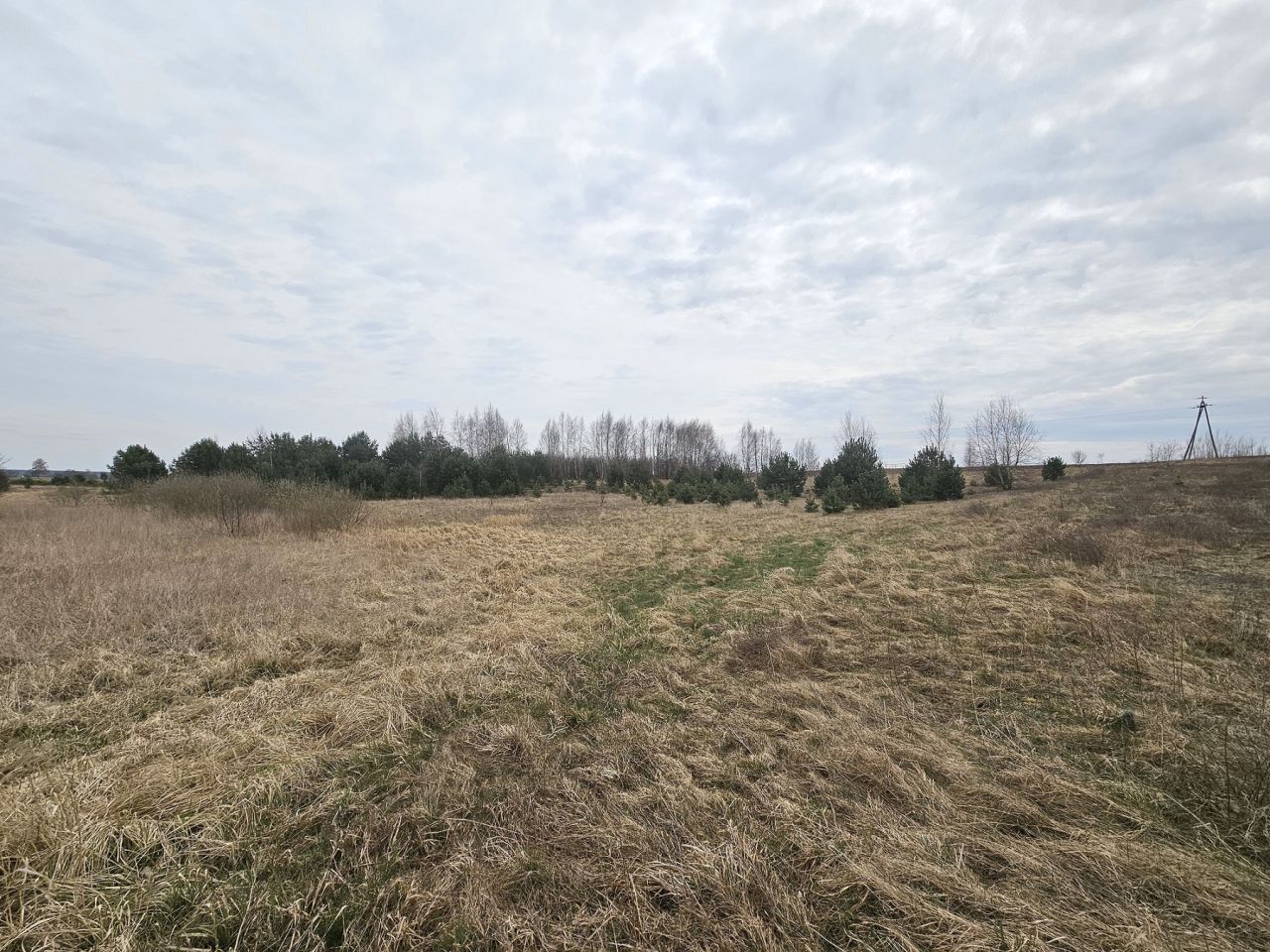 Działka rolna Nowy Dwór. Zdjęcie 6