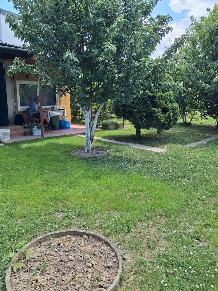 Działka rekreacyjna Nysa, ul. Adama Mickiewicza. Zdjęcie 10