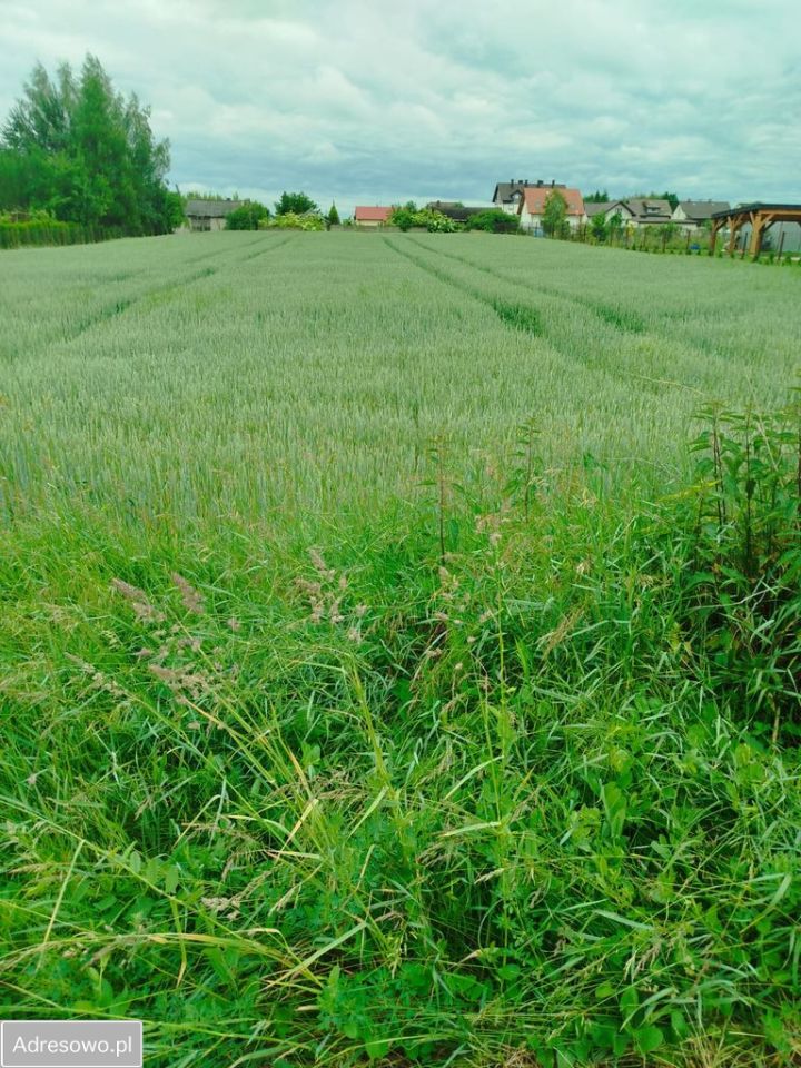 Działka budowlana Książe-Skroniów. Zdjęcie 1