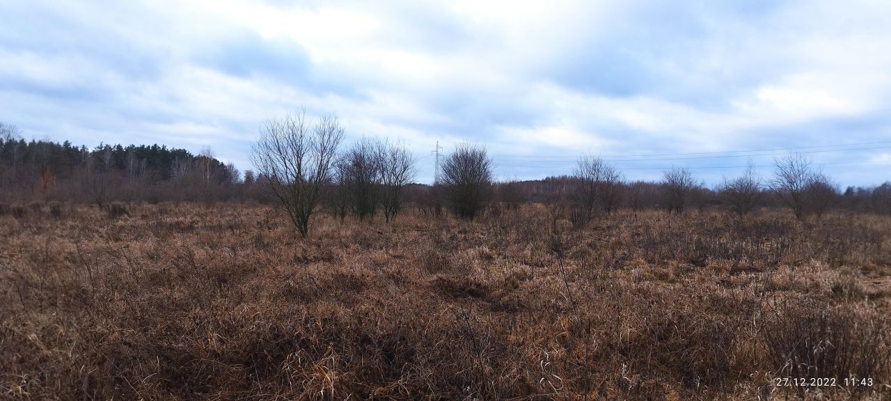 Działka rolna Baciuty. Zdjęcie 4