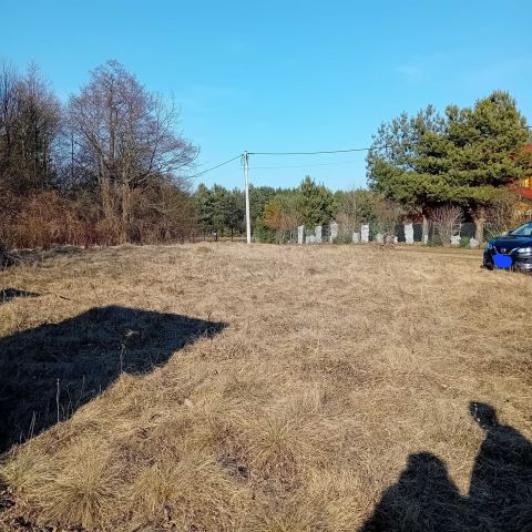 Działka Zambski Kościelne. Zdjęcie 1