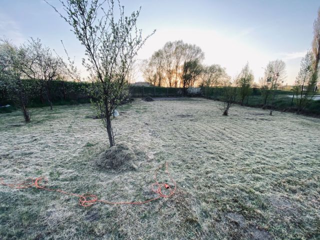 Działka rod Pruszcz Gdański, ul. NSZZ Solidarność. Zdjęcie 1