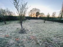 Działka rod Pruszcz Gdański, ul. NSZZ Solidarność