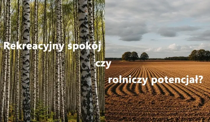 Działka rolna Nadułki-Majdany