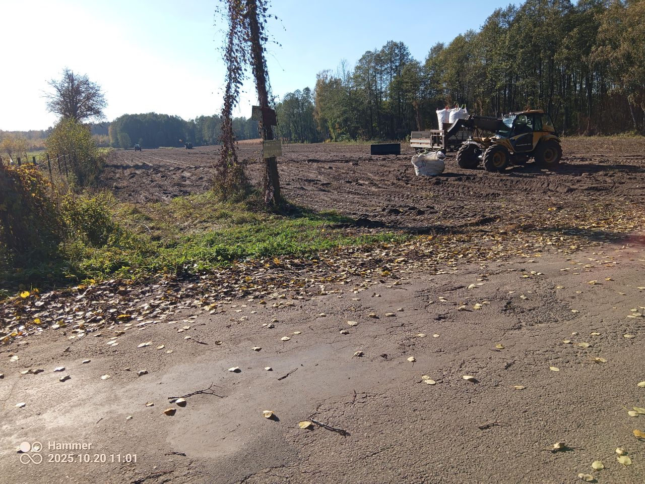 Działka rolno-budowlana Bieniew. Zdjęcie 8