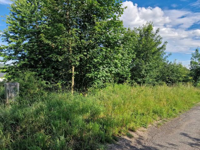 Działka budowlana Kłodzko, ul. Orzechowa. Zdjęcie 1