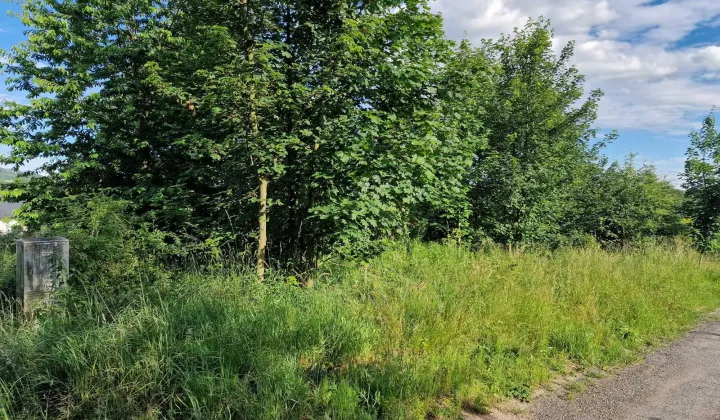 Działka budowlana Kłodzko, ul. Orzechowa