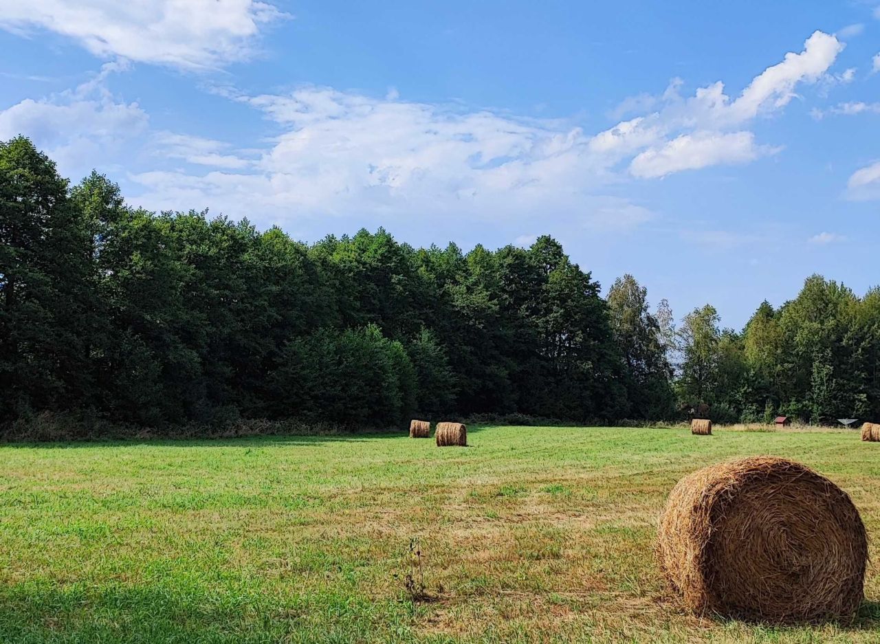 Działka rolna Stare Kiełbonki. Zdjęcie 6