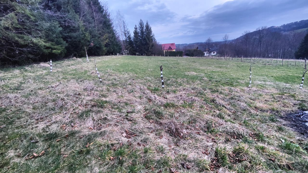 Działka budowlana Kamionka Wielka Popielówka. Zdjęcie 7