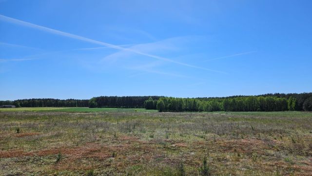 Działka budowlana Brzozie. Zdjęcie 1