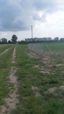 Działka budowlana Duszniki, ul. Szamotulska. Zdjęcie 1