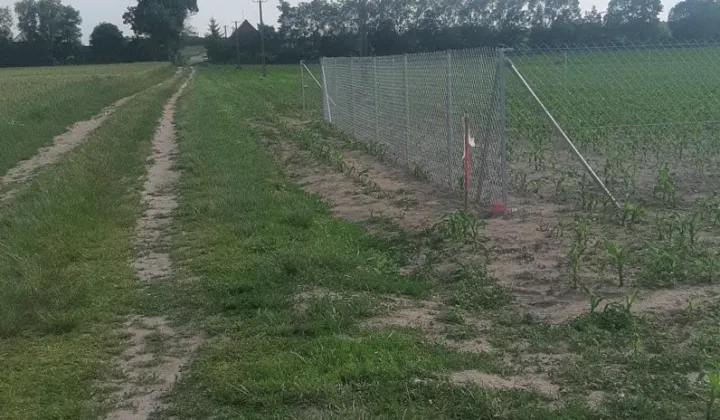 Działka budowlana Duszniki, ul. Szamotulska