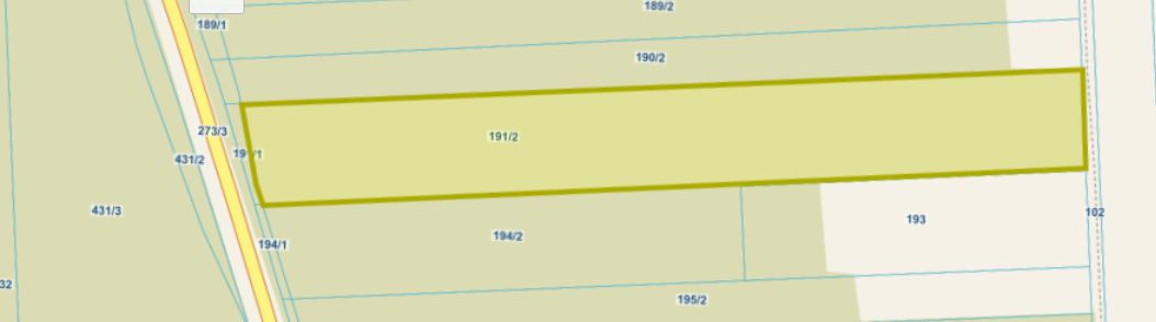 Działka leśna Stare Modzele. Zdjęcie 6