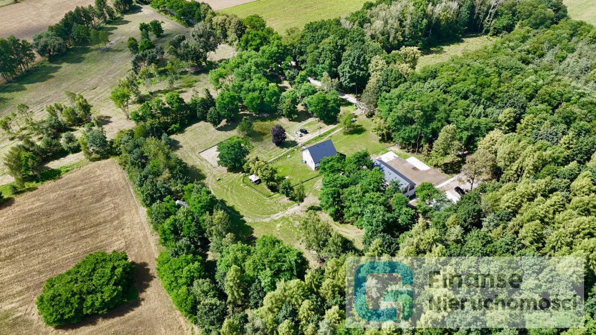 Działka budowlana Wola Pękoszewska. Zdjęcie 6