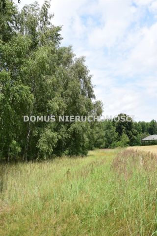 Działka budowlana Zacywilki. Zdjęcie 23