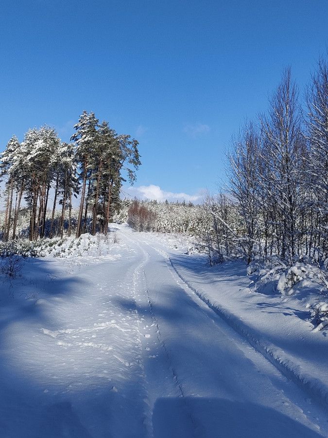 Działka rekreacyjna Wygoda. Zdjęcie 7