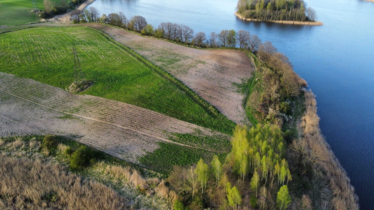 bliźniak Iława. Zdjęcie 2