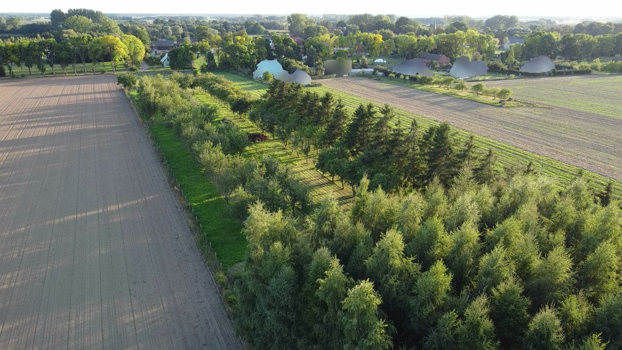 Działka rolno-budowlana Jarszewo. Zdjęcie 2