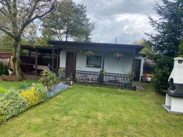 Działka rod Sosnowiec, ul. Jaskółek. Zdjęcie 1