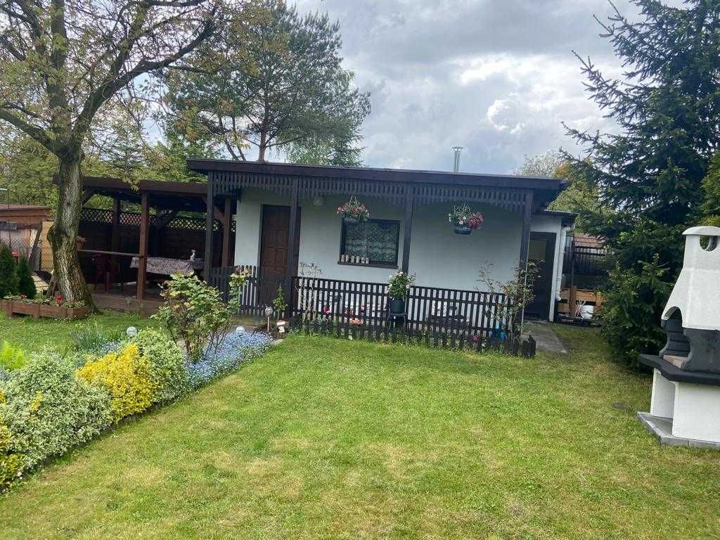 Działka rod Sosnowiec, ul. Jaskółek. Zdjęcie 1