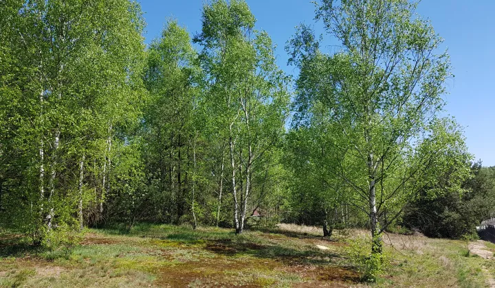 Działka rolno-budowlana Taurów