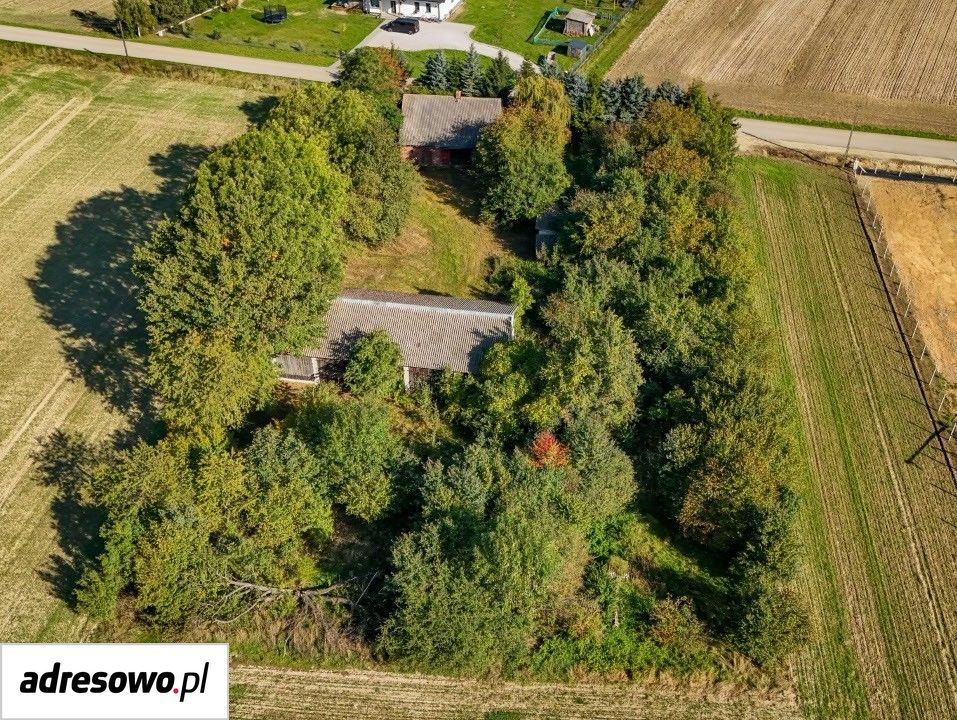 Działka siedliskowa Wola Kuźniewska. Zdjęcie 13