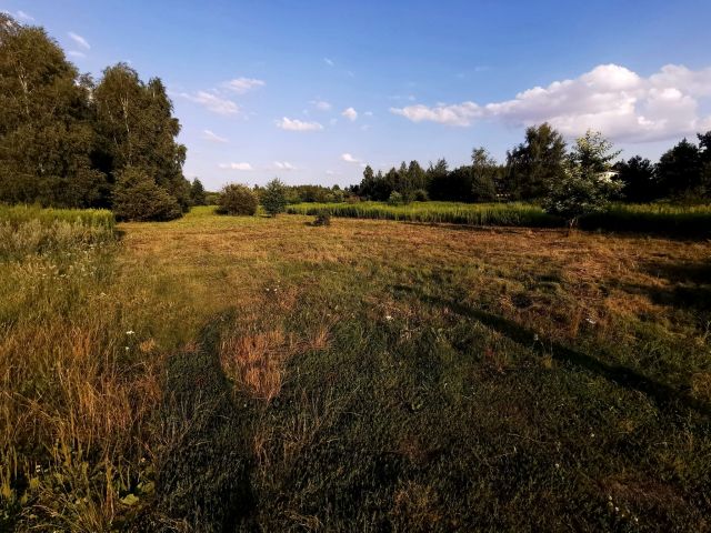 Działka budowlana Koczargi Stare, ul. Akacjowa. Zdjęcie 1