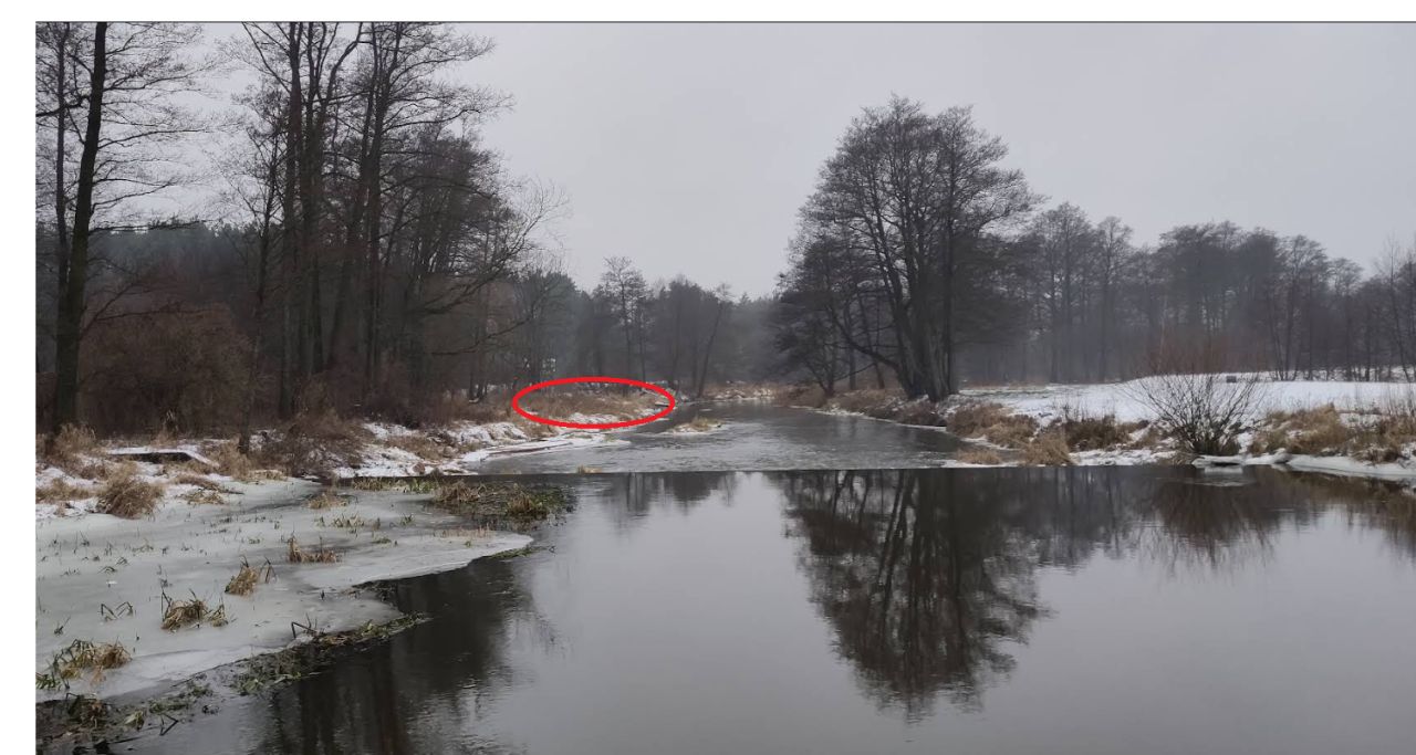 Działka rolna Odrzywół, ul. Praga. Zdjęcie 5