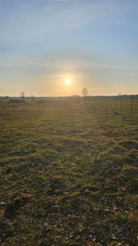 Działka rekreacyjna Nowa Wieś. Zdjęcie 7