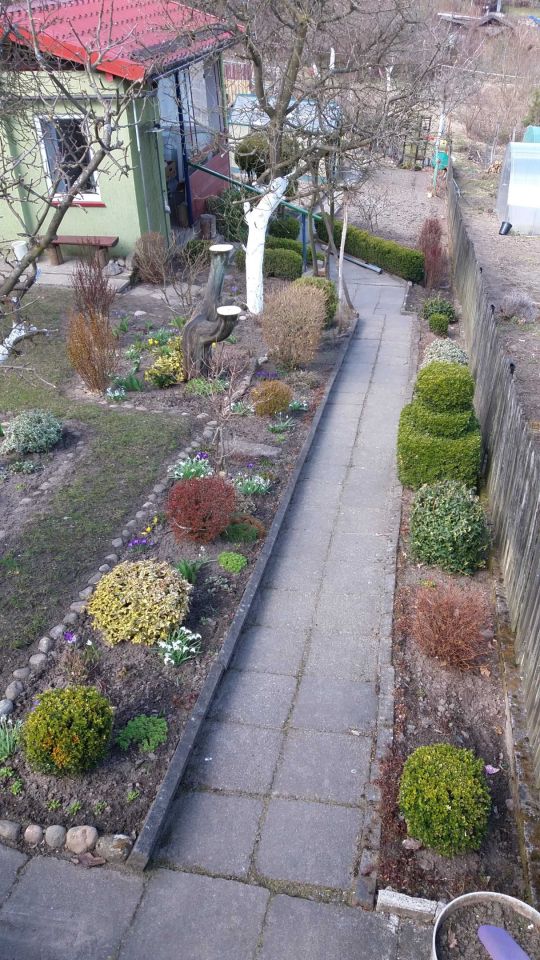 Działka rod Miastko. Zdjęcie 4