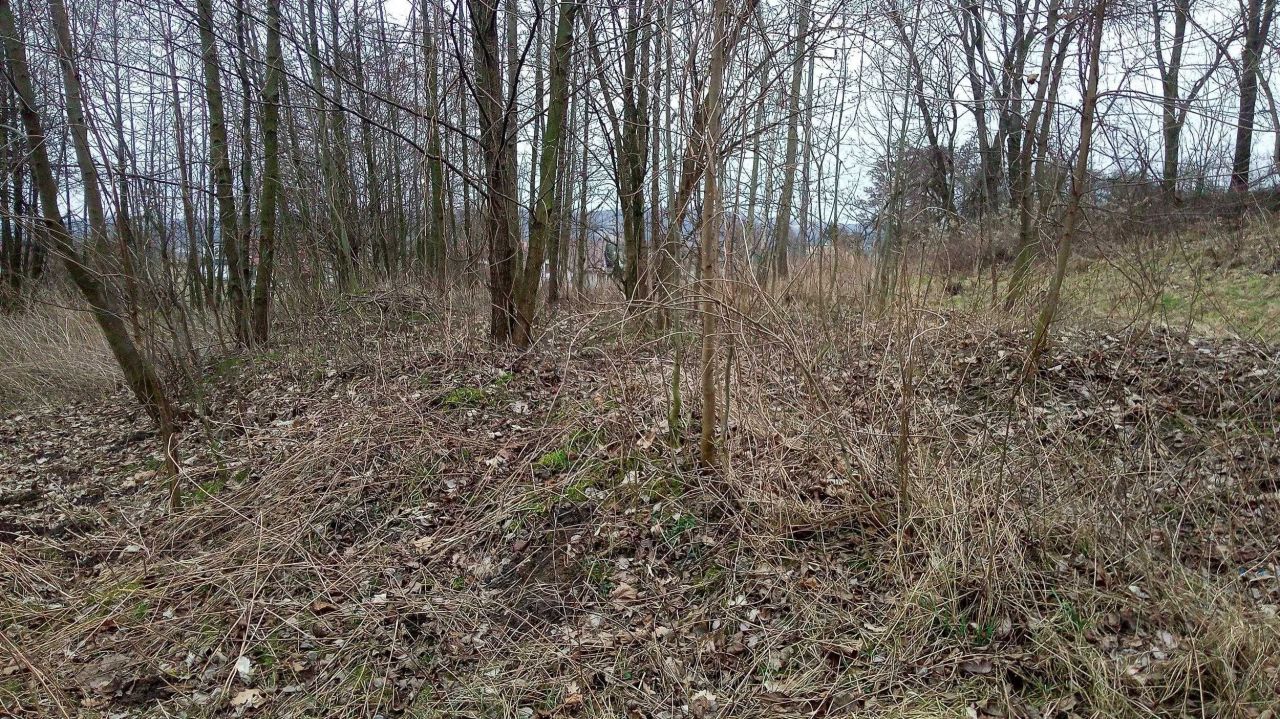 Działka budowlana Wojnicz. Zdjęcie 4