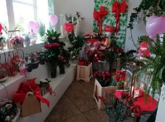 Lokal Turek, pl. Henryka Sienkiewicza. Zdjęcie 3