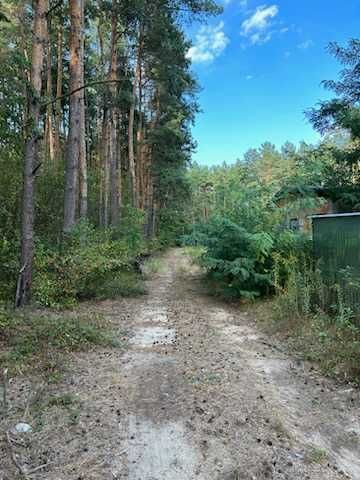 Działka siedliskowa Kuklówka Zarzeczna. Zdjęcie 4