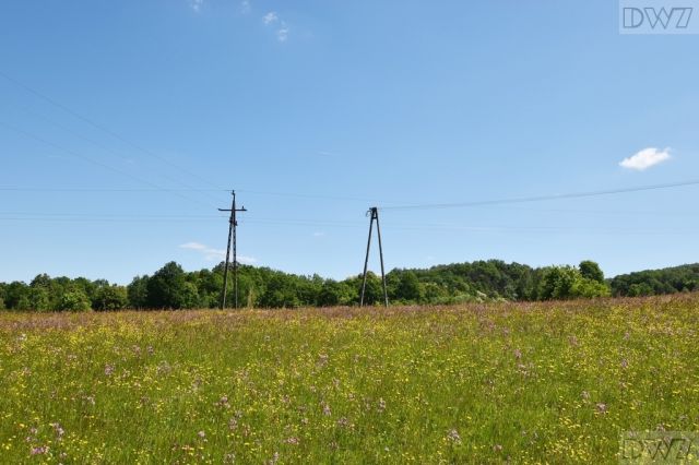 Działka budowlana Tarnawa. Zdjęcie 2