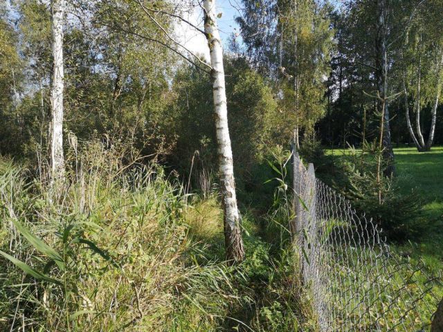 Działka rekreacyjna Szczechy Małe. Zdjęcie 11