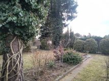 Działka rod Piotrków Trybunalski, ul. Gęsia. Zdjęcie 3