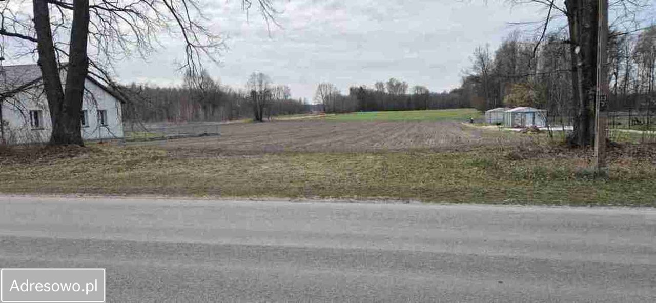 Działka budowlana Żdżary. Zdjęcie 4
