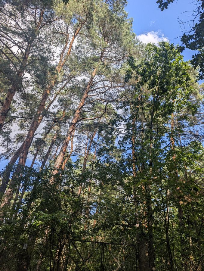 Działka budowlana Magdalenka, ul. Brzozowa. Zdjęcie 4