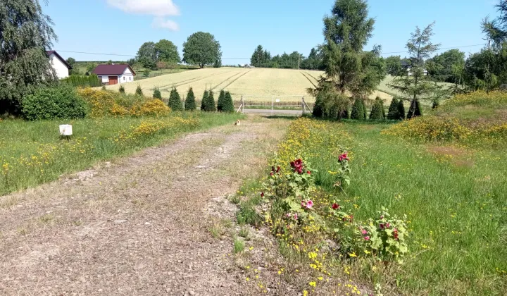 Działka rolno-budowlana Batycze