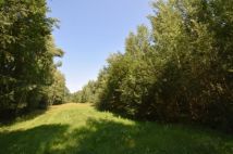 Działka rekreacyjna Kuligów, ul. Leśna. Zdjęcie 1