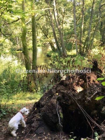 Działka rolna Chrystkowo. Zdjęcie 5