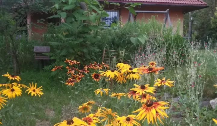 Działka rekreacyjna Skorzewo, W