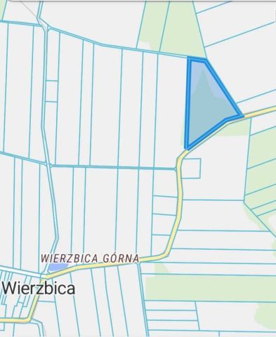 Działka rolno-budowlana Wierzbica. Zdjęcie 1